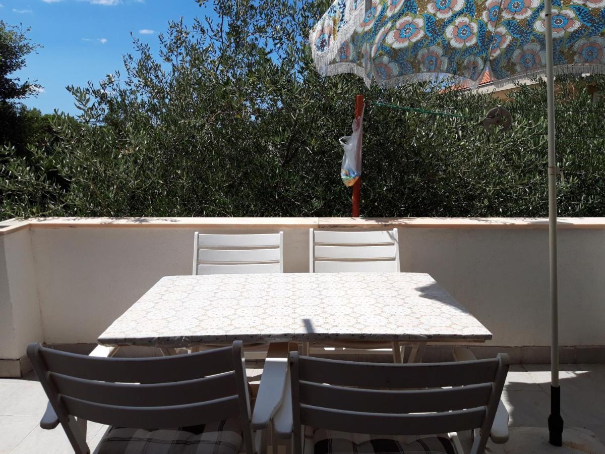 Apartments Ivana Diklo Zadar Eksteriør billede
